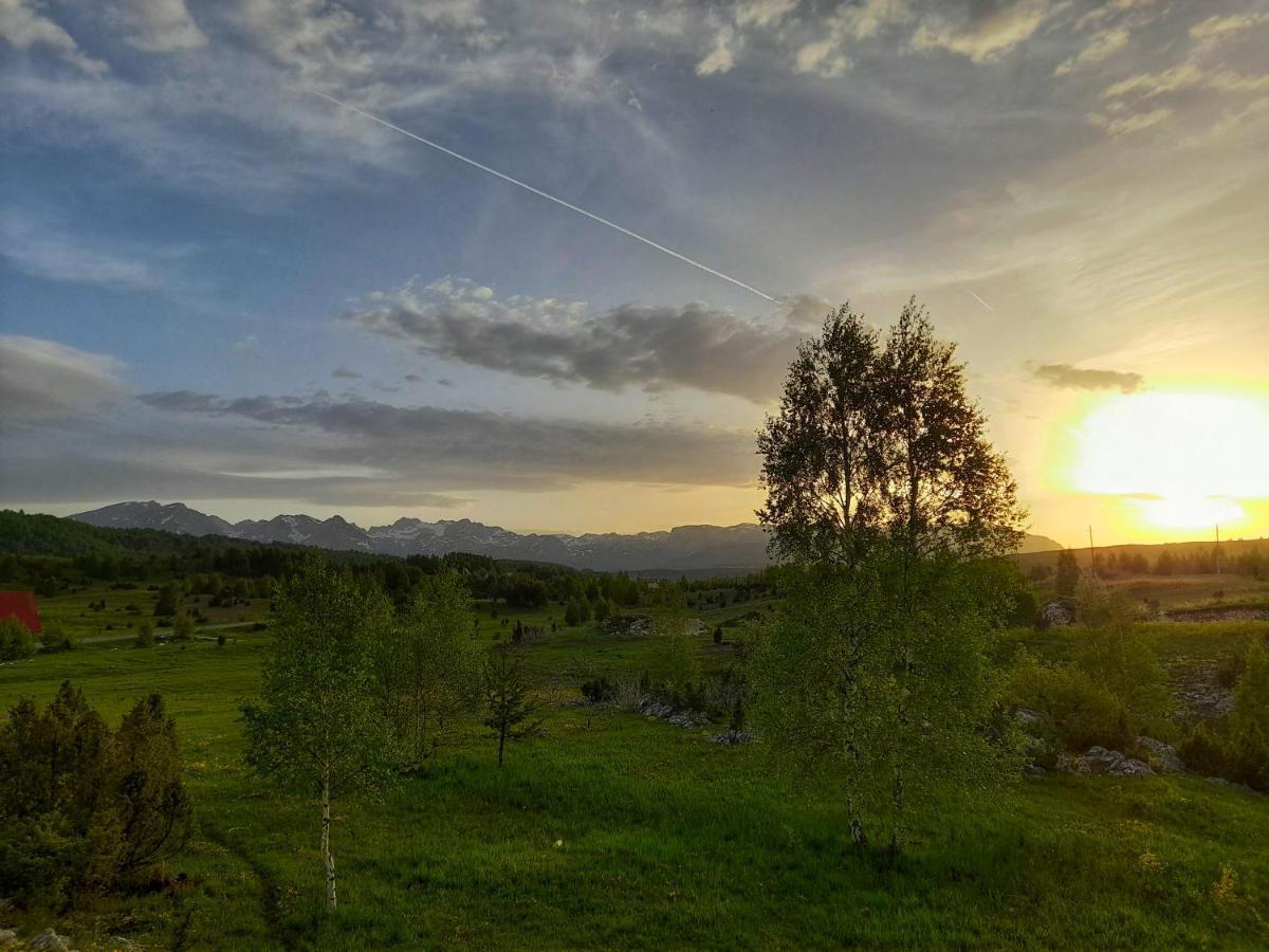 Villa Breza Žabljak Esterno foto